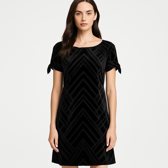 White House Black Market Dresses & Skirts - WHITE HOUSE BLACK MARKET BLACK VELVET BURNOUT SHORT SLEEVE DRESS L